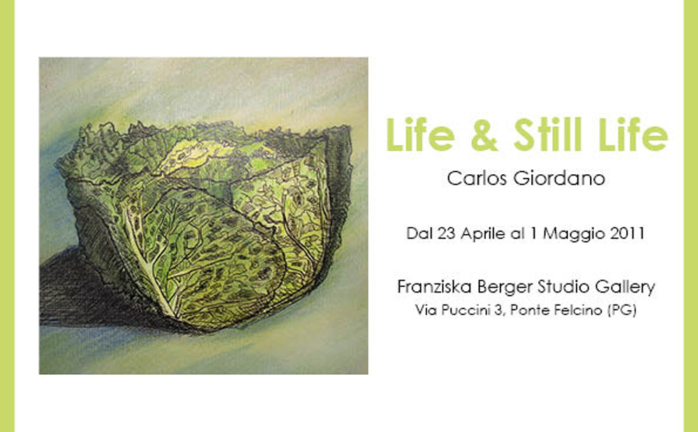Life & Still Life
